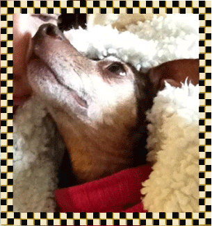 Quita, my mom's baby